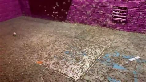 Without An Invitation, Grasshoppers Invade Las Vegas Strip